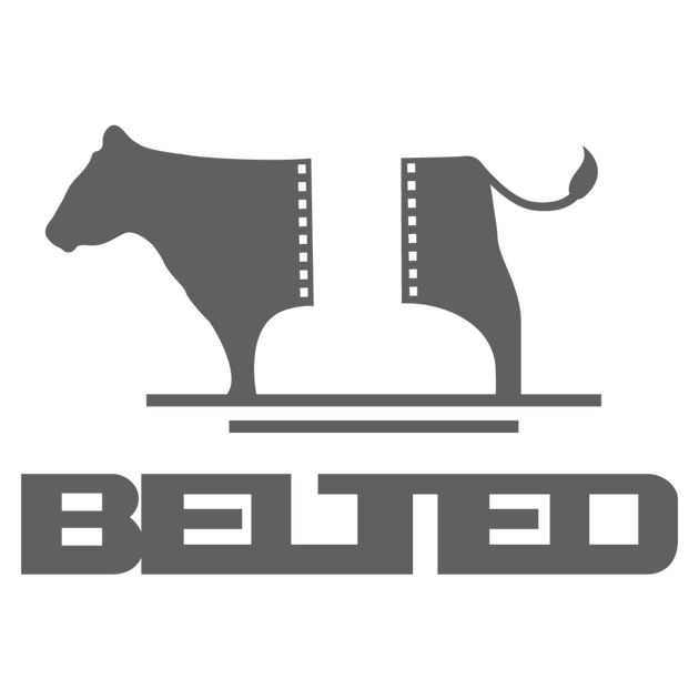 A Belted Galloway cow with a film strip centre